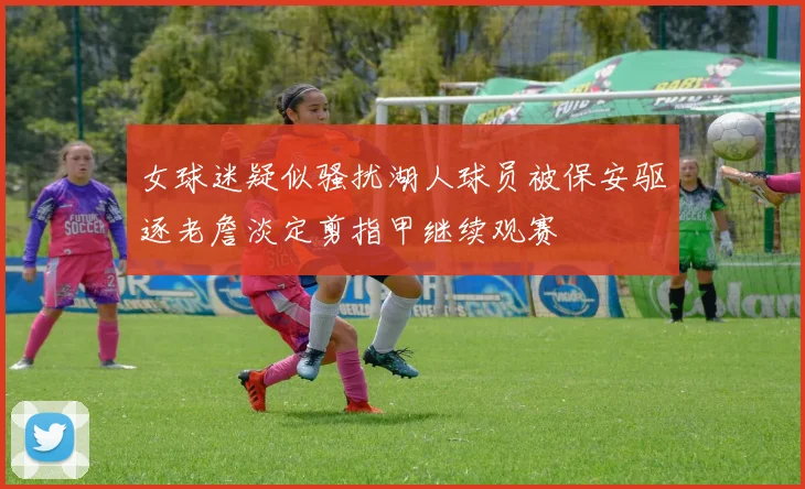 女球迷疑似骚扰湖人球员被保安驱逐老詹淡定剪指甲继续观赛