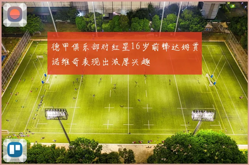 德甲俱乐部对红星16岁前锋达姆贾诺维奇表现出浓厚兴趣