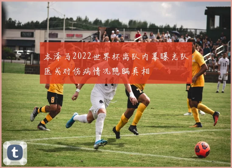 本泽马2022世界杯离队内幕曝光队医或对伤病情况隐瞒真相