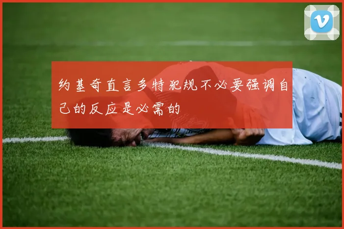 约基奇直言多特犯规不必要强调自己的反应是必需的